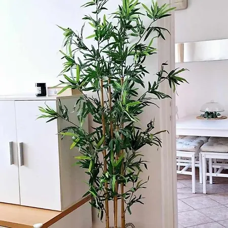 Studio Letizia Apartment