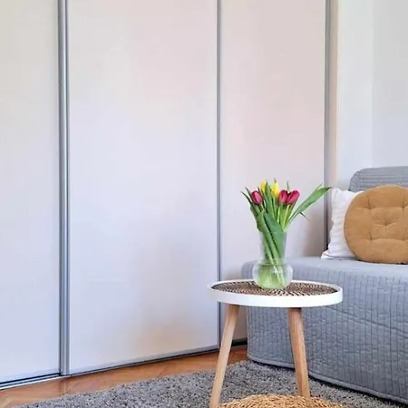 Apartment Studio Letizia