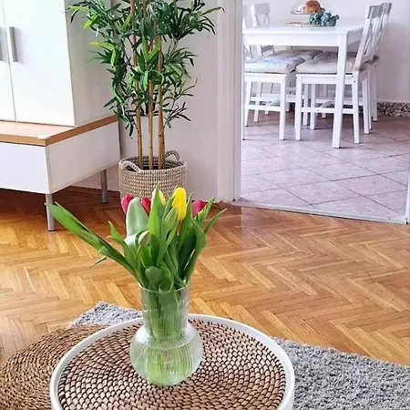 Studio Letizia Apartment *